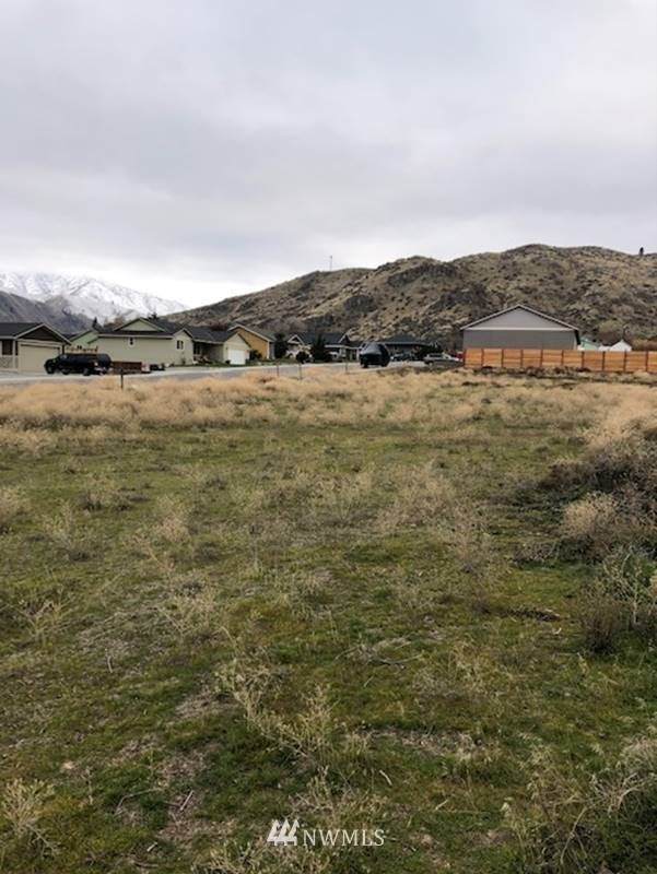 1023 Crest Loop - Photo 1