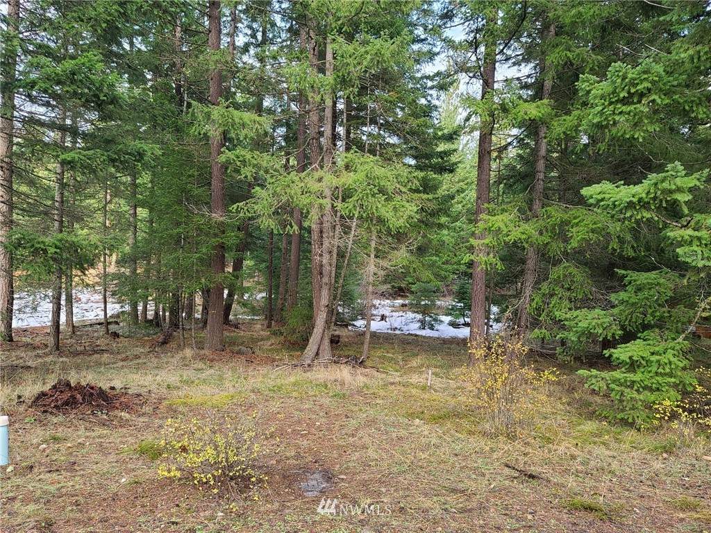 1040 Snowberry Loop - Photo 1