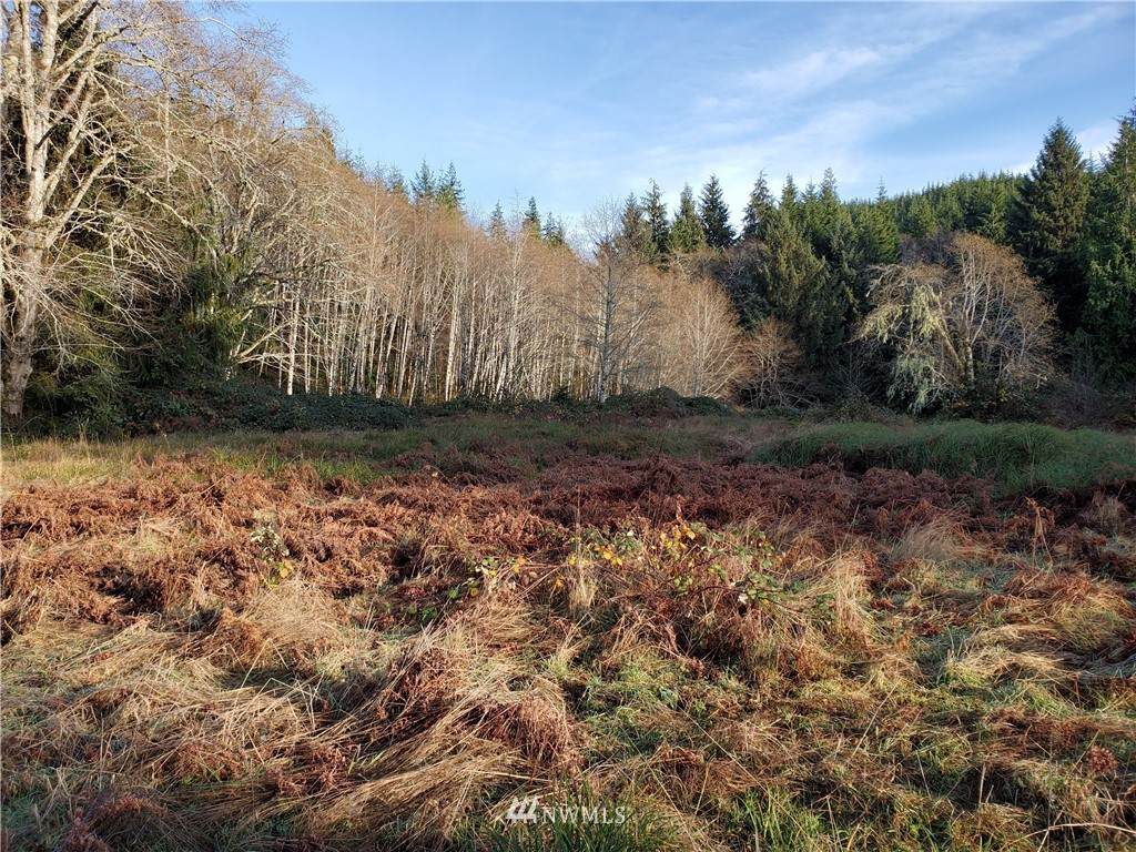 9999 South Valley Rd Lot 06 - Photo 1