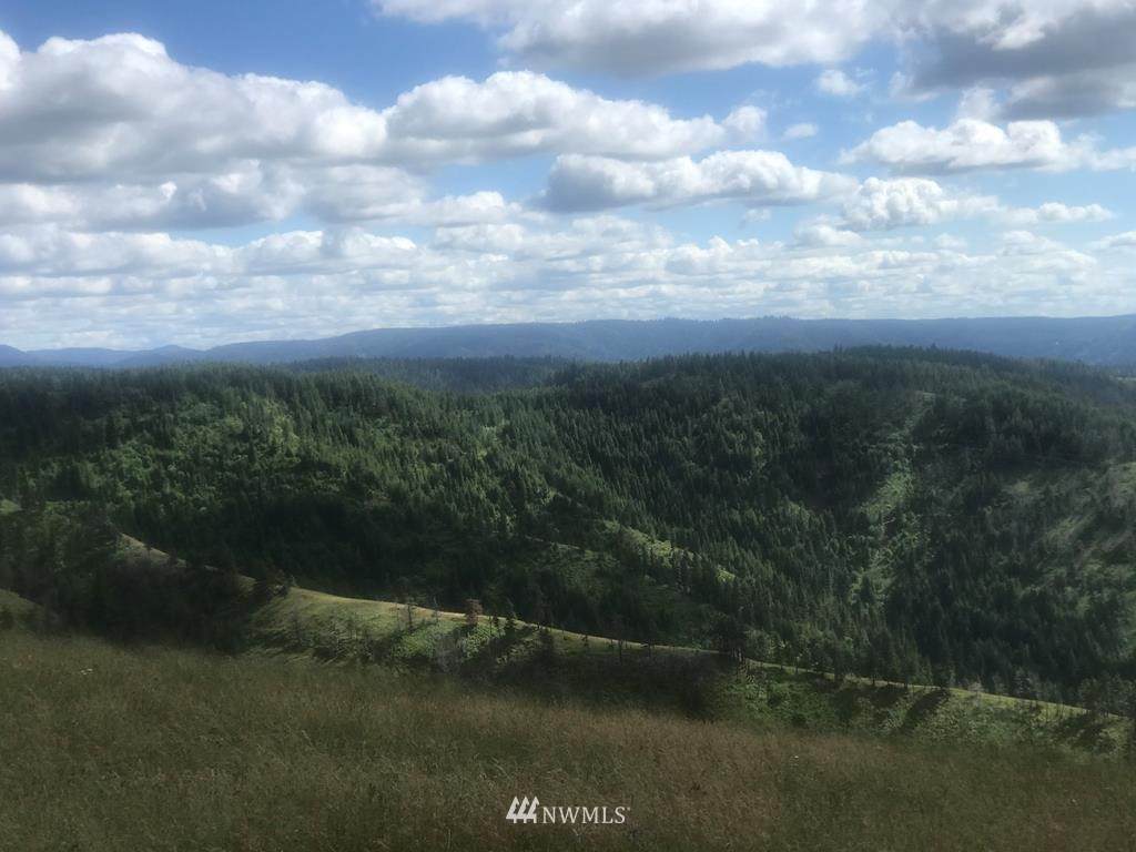 0 Blacksnake Ridge Road - Photo 1