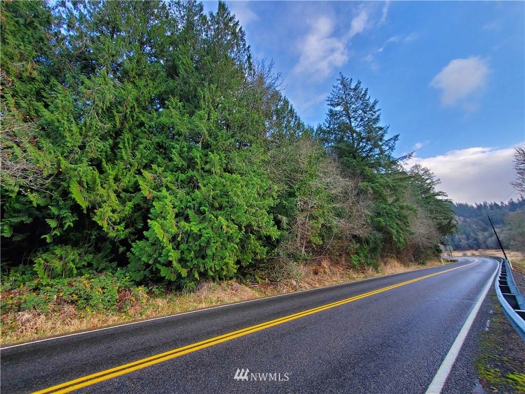346 Coal Creek Road - Photo 1