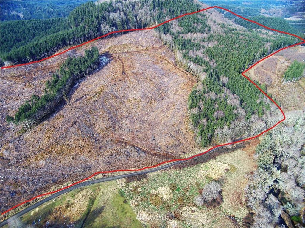111 Trap Creek Road - Photo 1