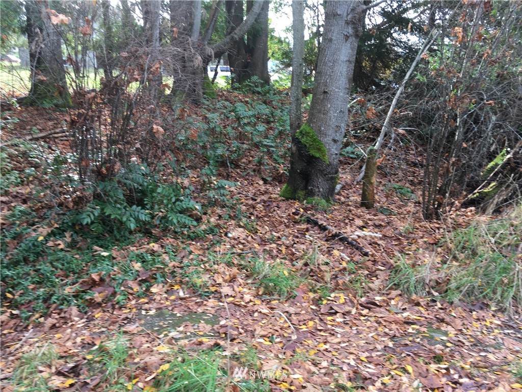 736 9th Street - Photo 1