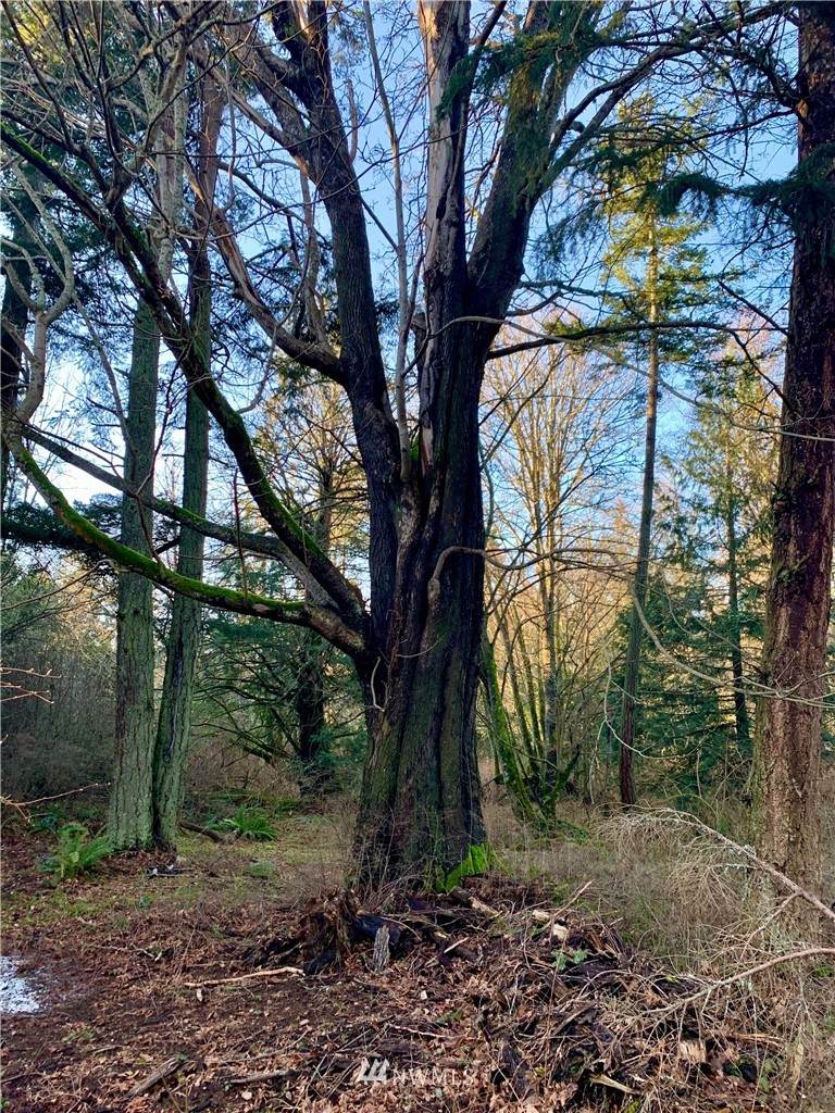 0 West Shore Road - Photo 1