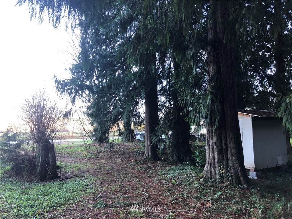 35578 Shangri-La Drive - Photo 1