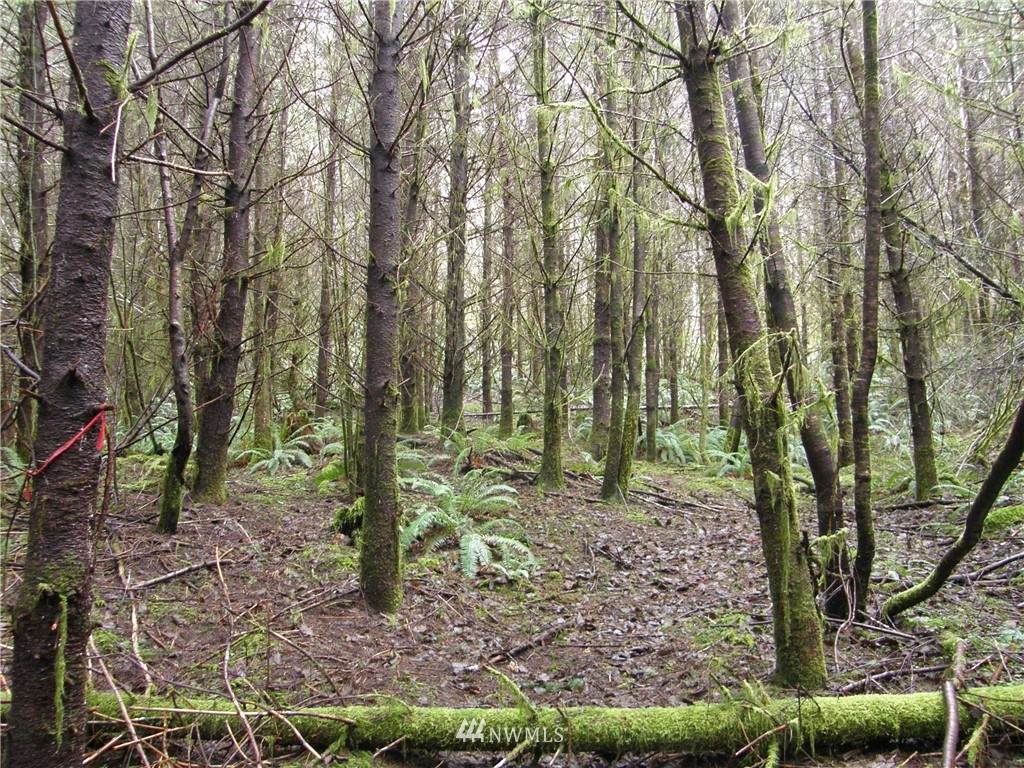 0 M.P. 4 Smith Creek Road - Photo 1