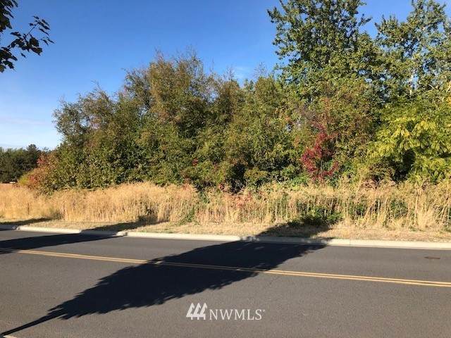 0 Commercial Drive - Photo 1