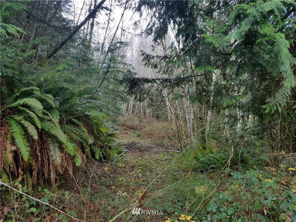 0 69th Street - Photo 1