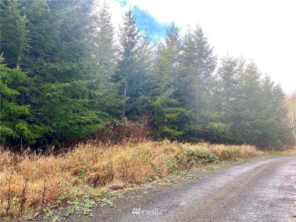 7 Beaver Hill Lane - Photo 1