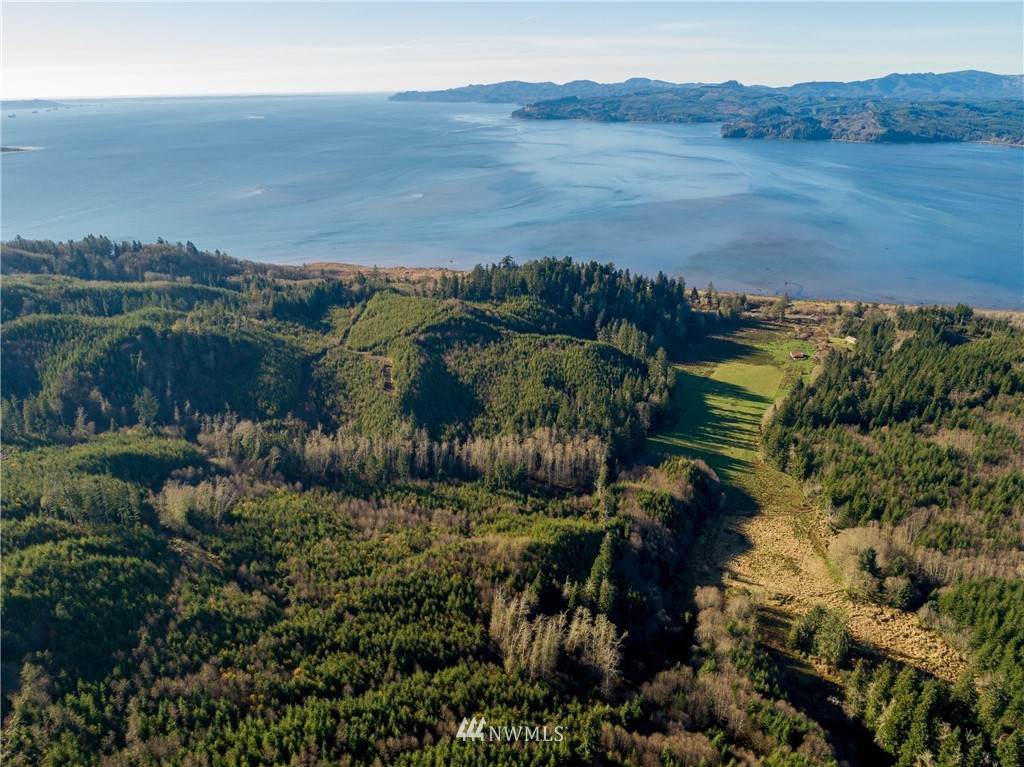2 Altoona Pillar Rock Road - Photo 1