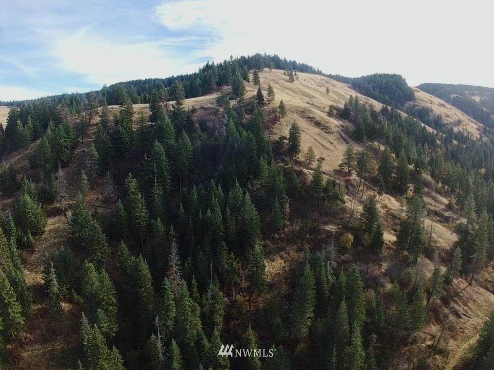 0 S Fork Coppei Creek Road - Photo 1