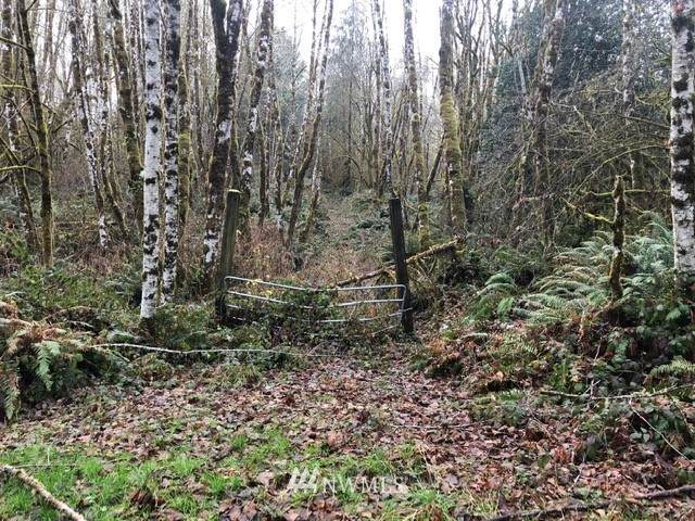 230 Upperwest Road - Photo 1
