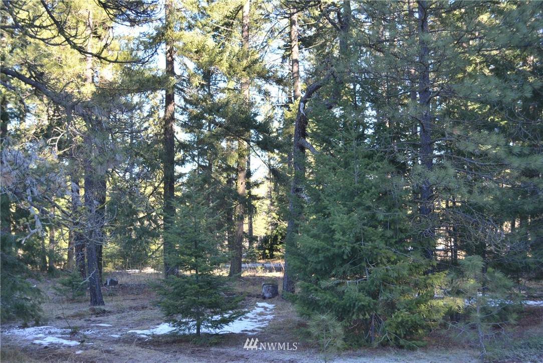 9 Southern Star Lane - Photo 1