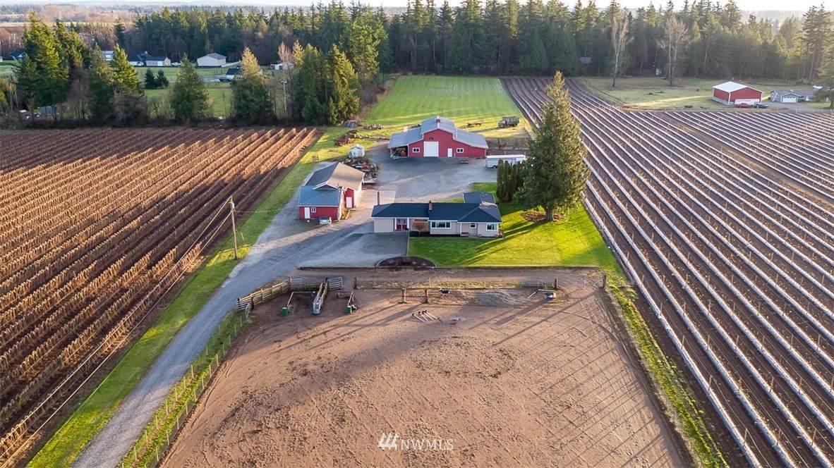 805 Birch Bay Lynden Road - Photo 1