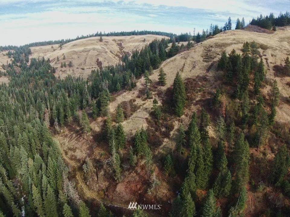 0 S Fork Coppei Creek Road - Photo 1