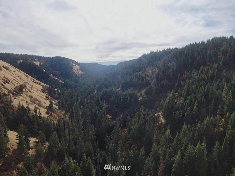 123 S Fork Coppei Road - Photo 1