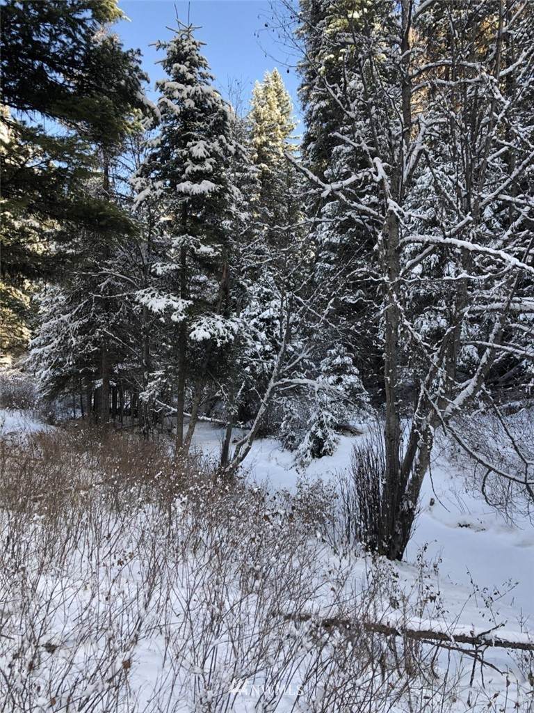 120 West Fork Cougar Creek Road - Photo 1