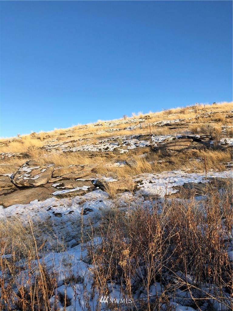 111 Five Mile Road - Photo 1