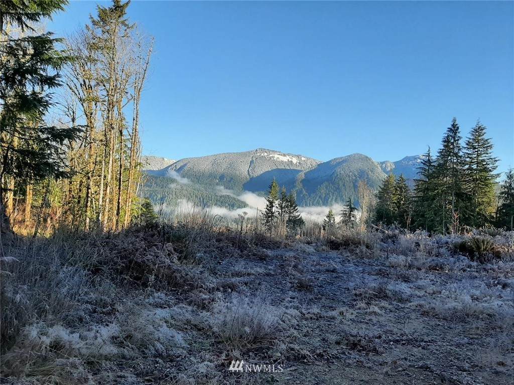 0 Cline Road - Photo 1