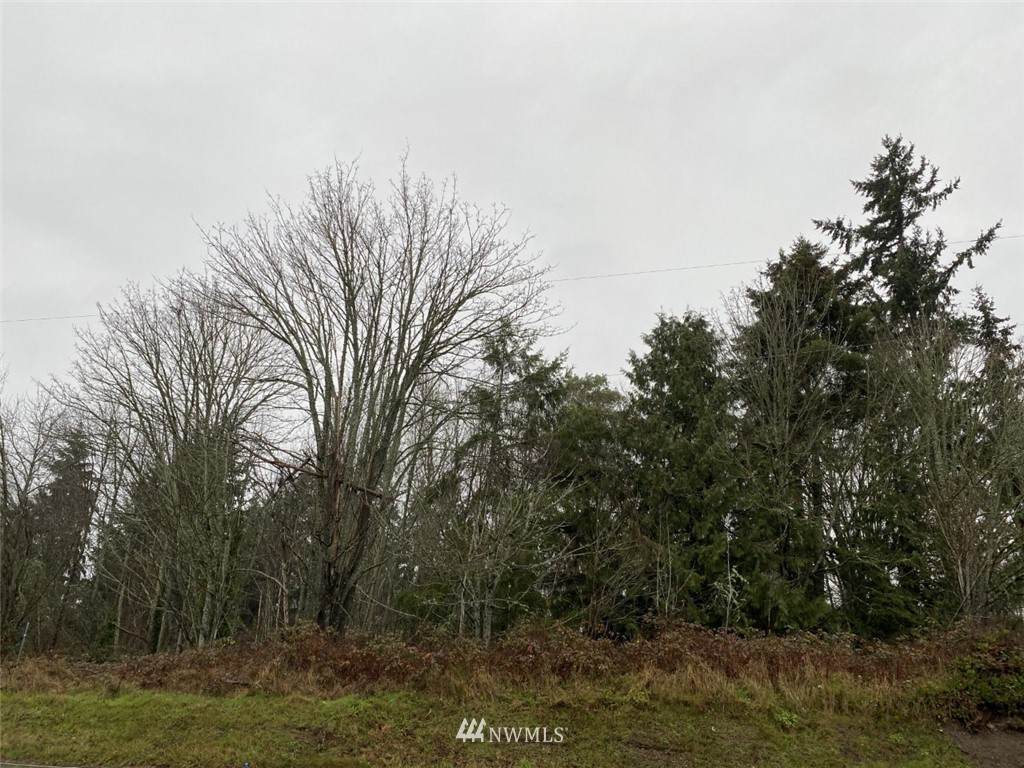 304 xx 304th Street - Photo 1