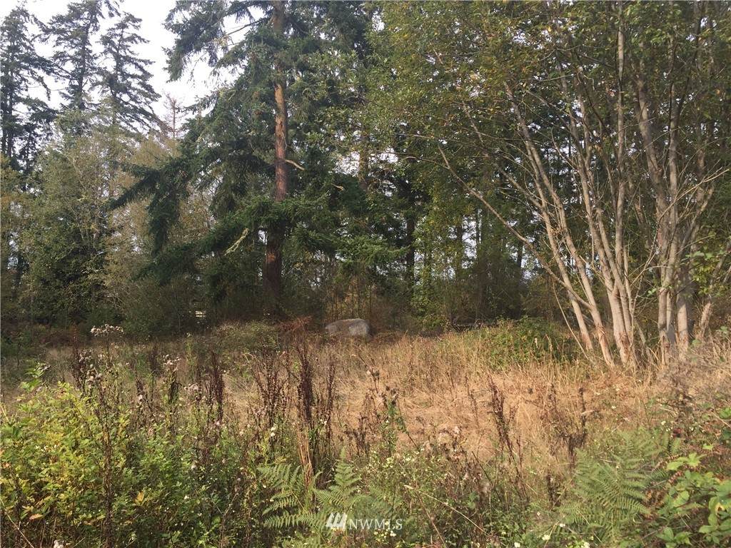 0 West Shore Road - Photo 1