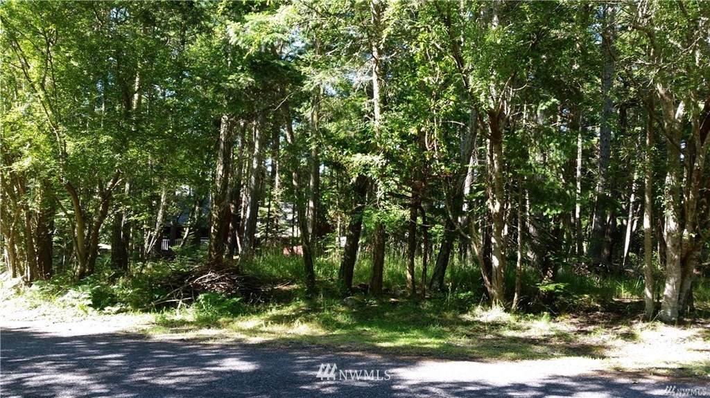 0 Island Drive - Photo 1
