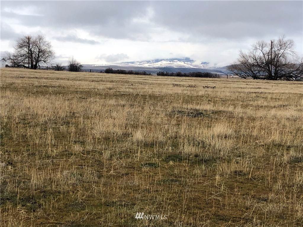 2200 Hunter Road - Photo 1