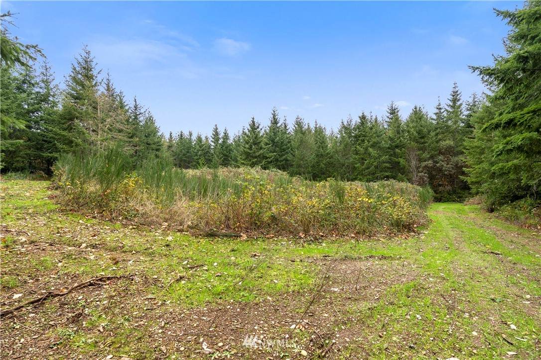44 Whiteman Road - Photo 1