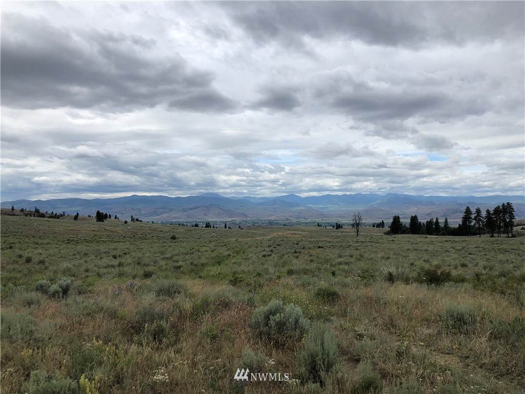 0 Omak Mountain Road - Photo 1