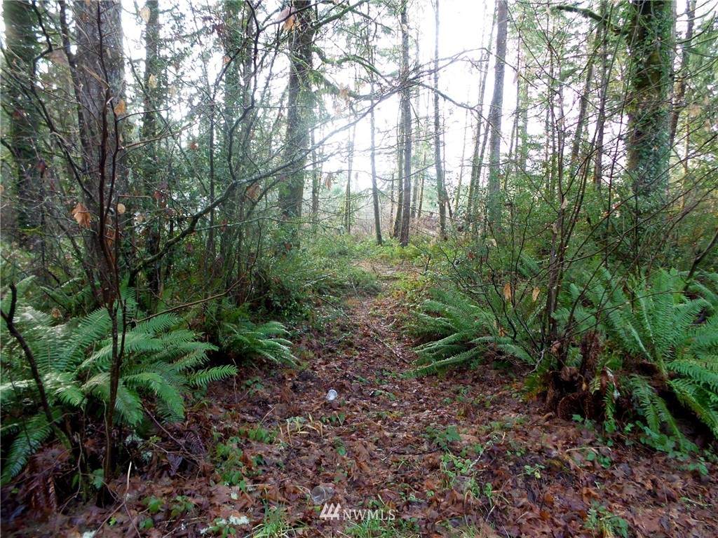 0 44th Avenue - Photo 1