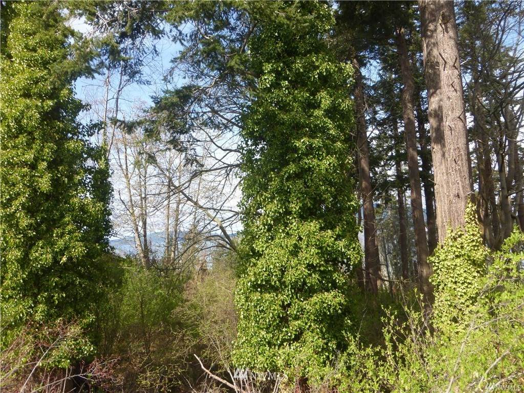 0 Oakes Avenue - Photo 1
