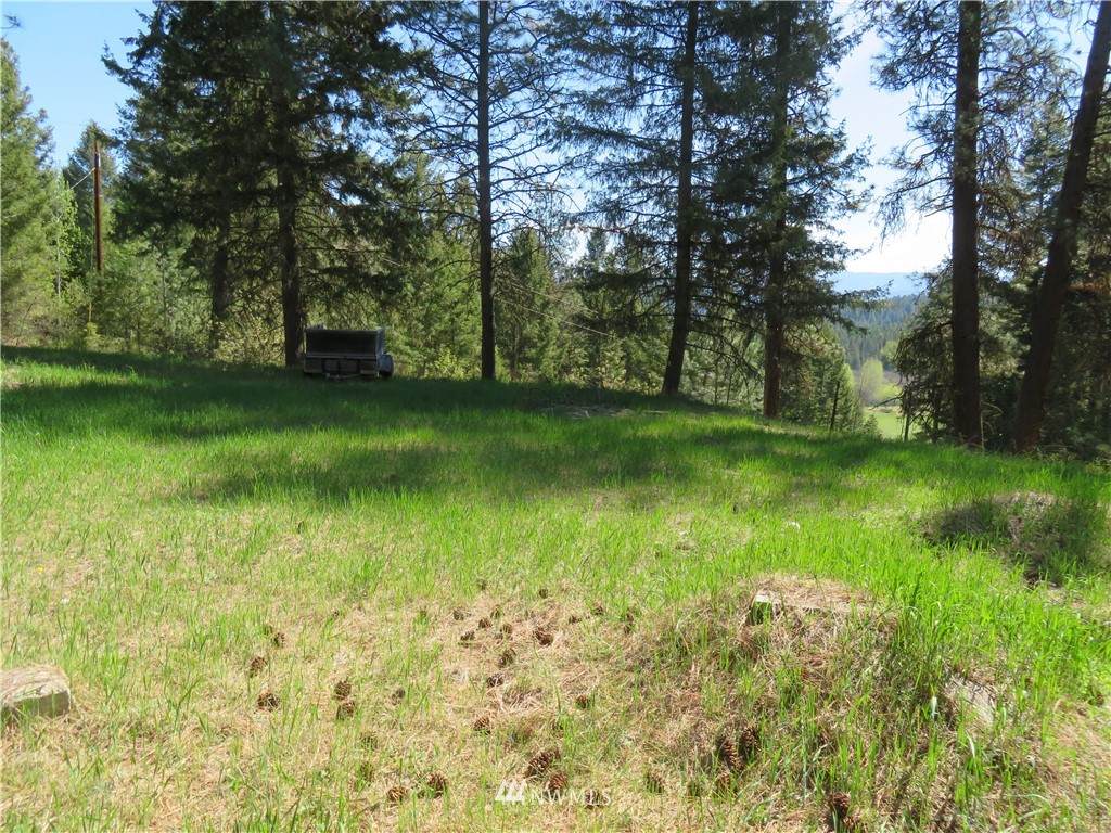 0 Barrett Creek Road - Photo 1