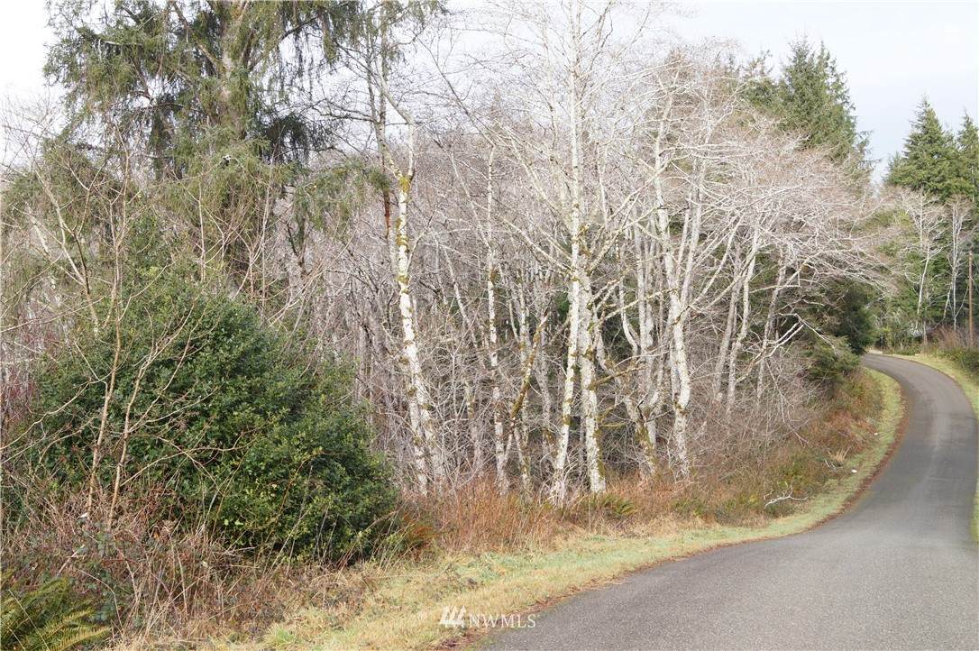 0 Summit Avenue - Photo 1