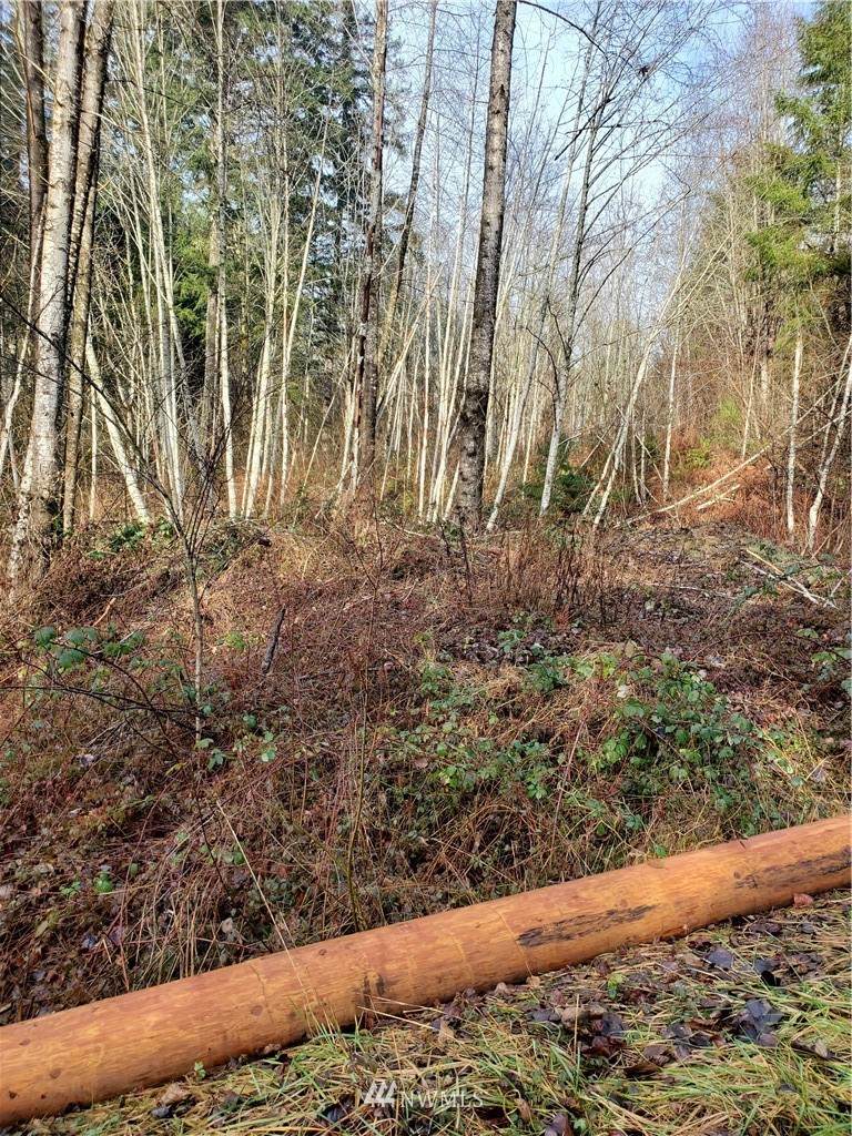 1590 Tahuya River Drive - Photo 1