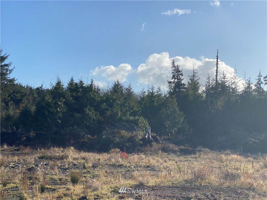 32 Lot Tinders Road - Photo 1
