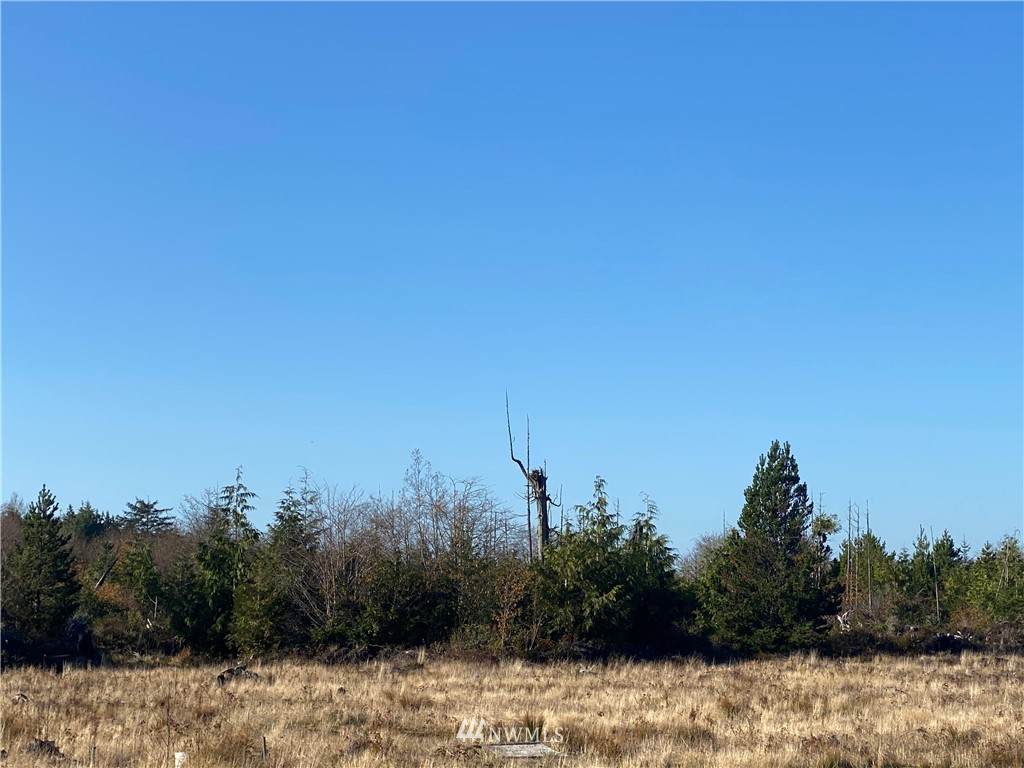 33 Lot Tinders Road - Photo 1