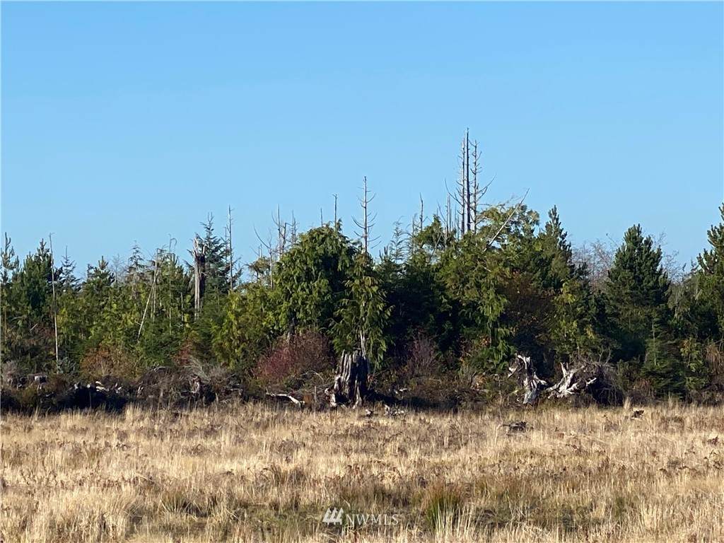 41 Lot Tinders Road - Photo 1