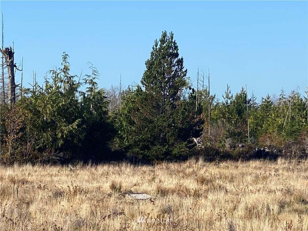 43 Lot Tinders Road - Photo 1
