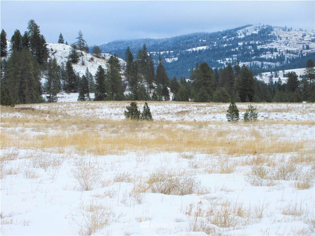 0 Malo Lake Road - Photo 1