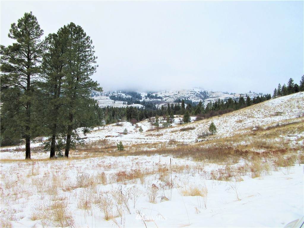 0 Malo Lake Road - Photo 1