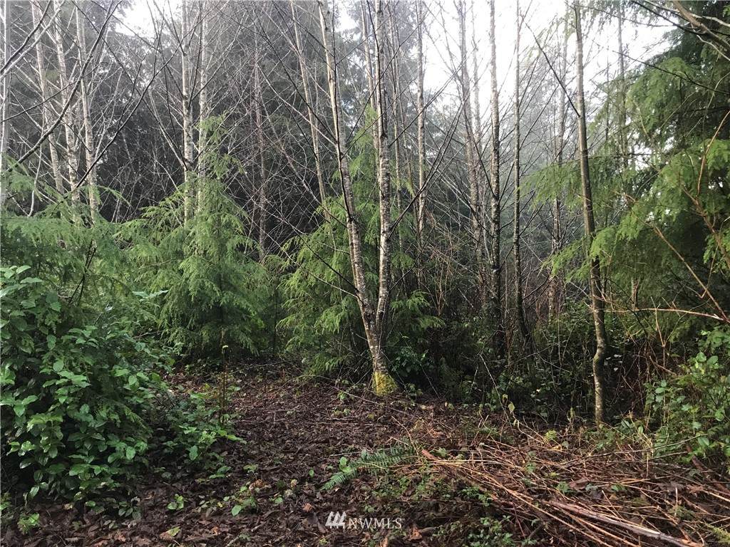 1 Bayview Estates - Photo 1