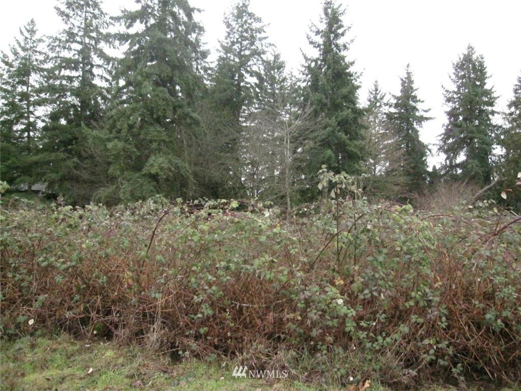 3709 4th Street - Photo 1