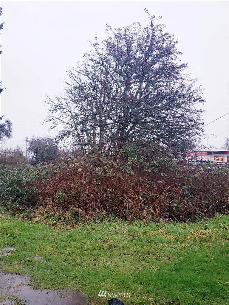 0 3rd Street - Photo 1