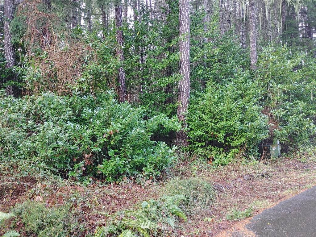 261 Cirque, Div 4 Lot 21 - Photo 1