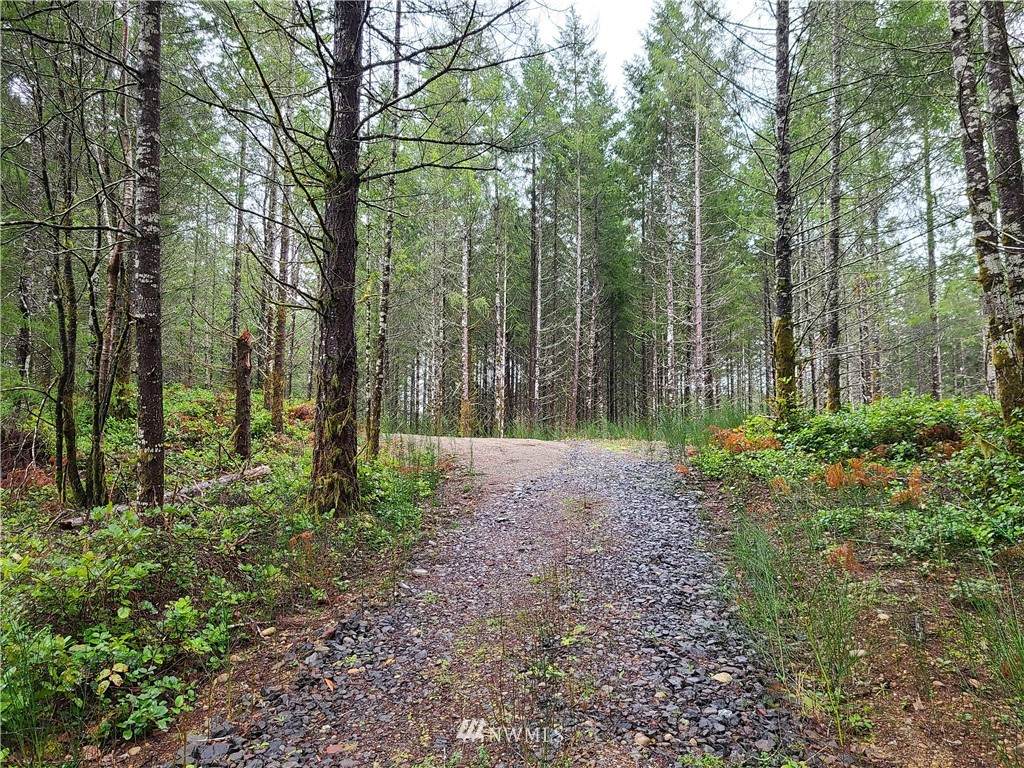 0 Lake Flora Road - Photo 1