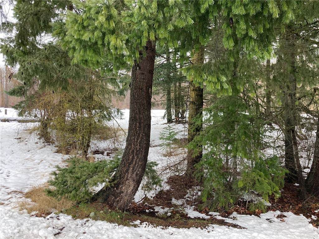 0 Tree Farm Road - Photo 1