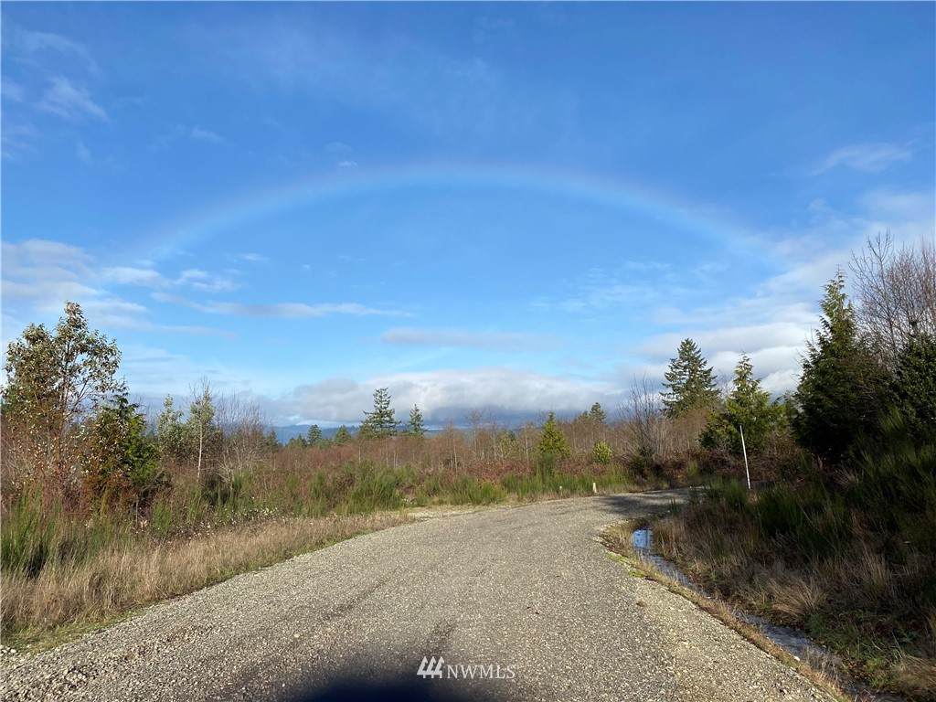 11686 Pioneer Road - Photo 1