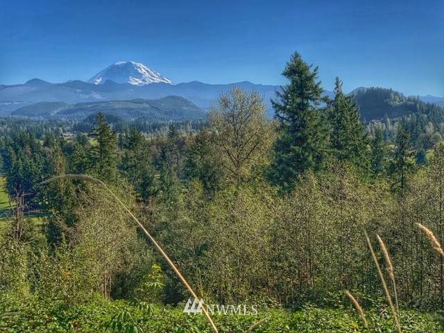 27435 402nd Avenue - Photo 1