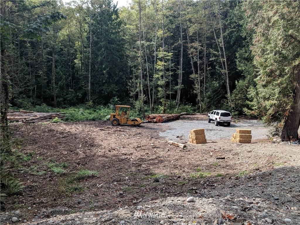 9920 Marine Drive - Photo 1