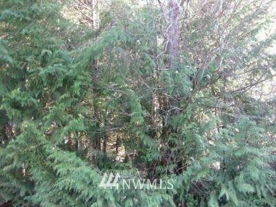 9731 Mariner Drive - Photo 1